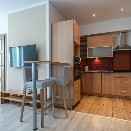 Riverside One Bedroom * פראג